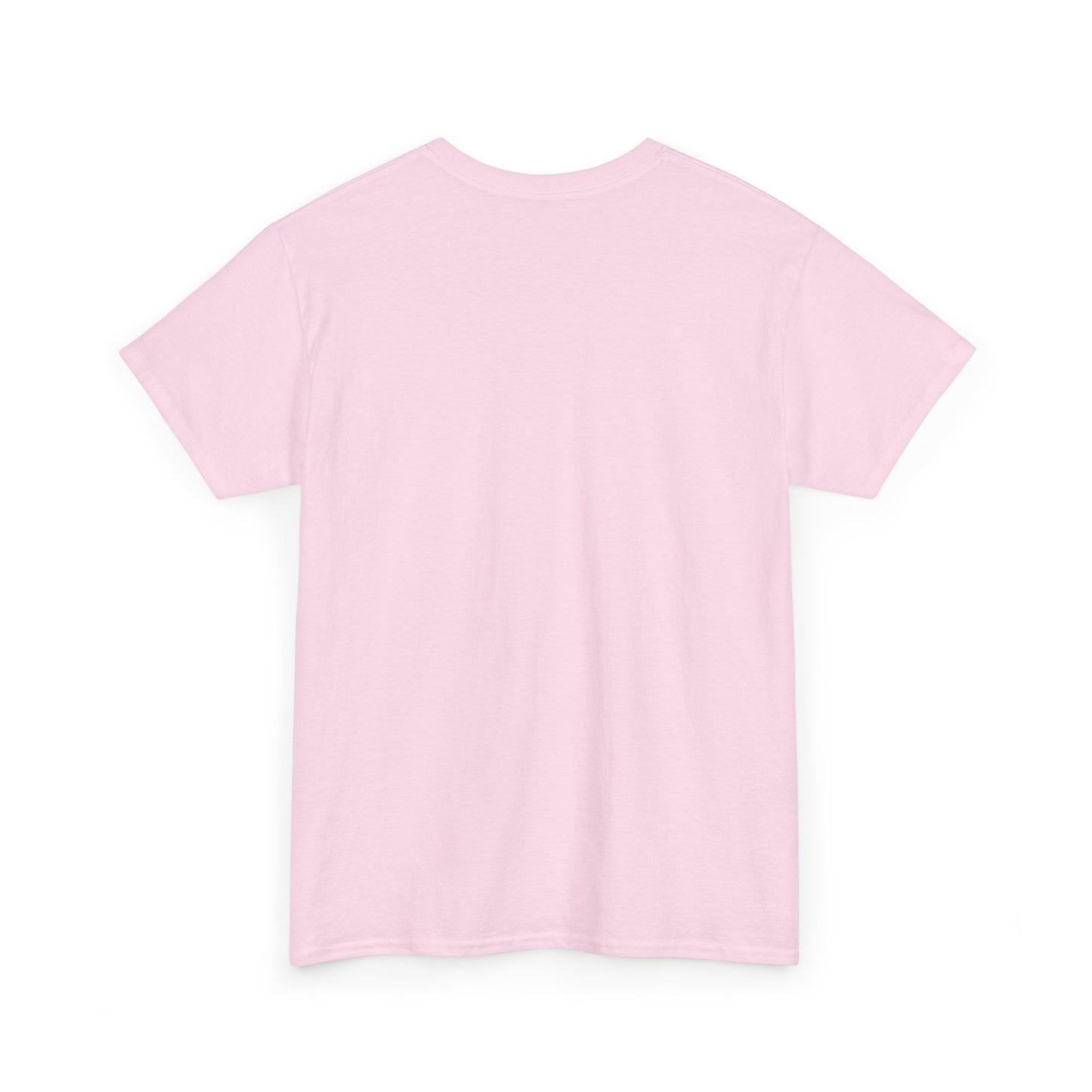 Sigma Beta Xi | Pink Sorority T-shirt